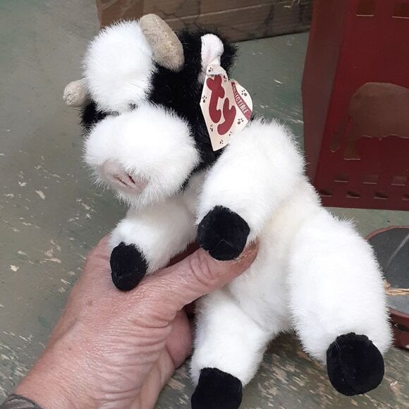 Cow-a-bunga bundl -10 pc.! - Picture 10 of 10